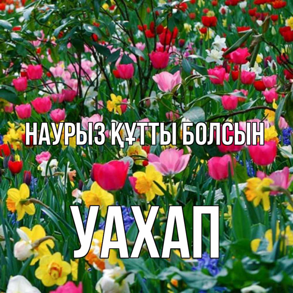 Күн сайын ашық хат с именем, УАХАП Наурыз құтты болсын с наурызом поздравления для женщины Онлайн тегін жүктеп алу тілектері бар керемет карта 