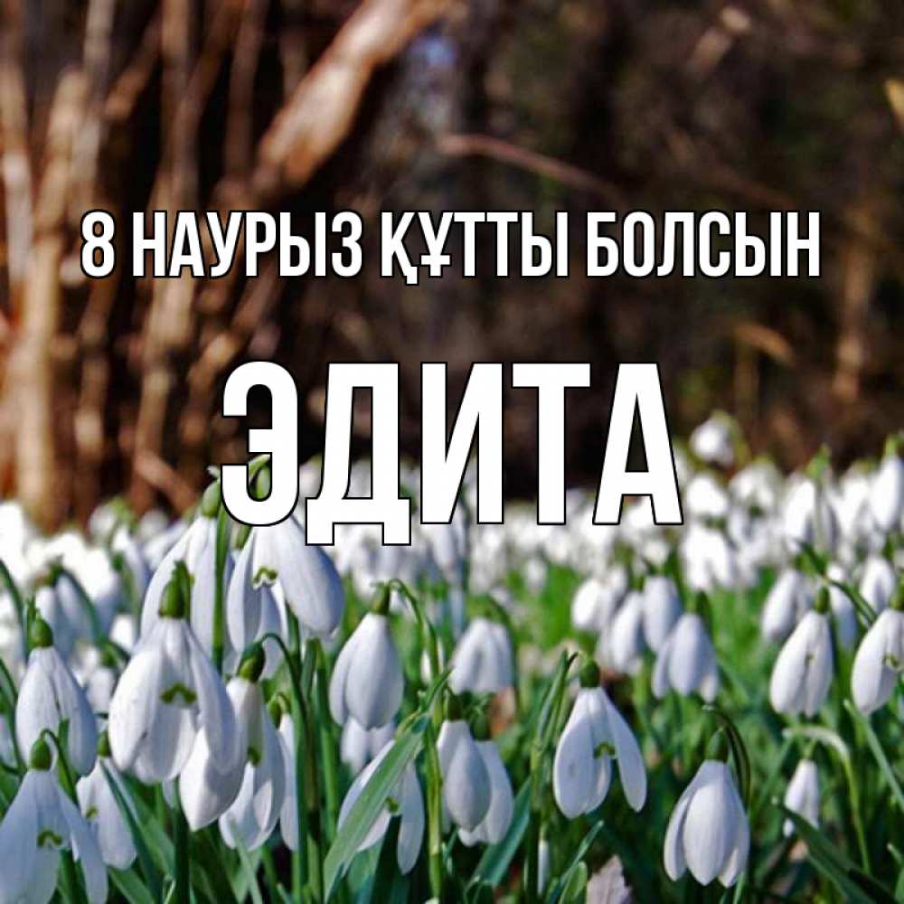 Күн сайын ашық хат с именем, Эдита 8 наурыз құтты болсын с подснежниками 1 Онлайн тегін жүктеп алу тілектері бар керемет карта 