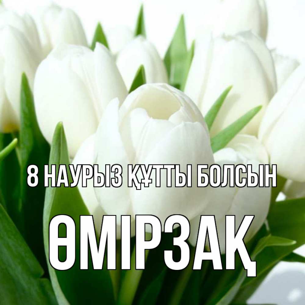 Күн сайын ашық хат с именем, ӨМІРЗАҚ 8 наурыз құтты болсын цветы Онлайн тегін жүктеп алу тілектері бар керемет карта 