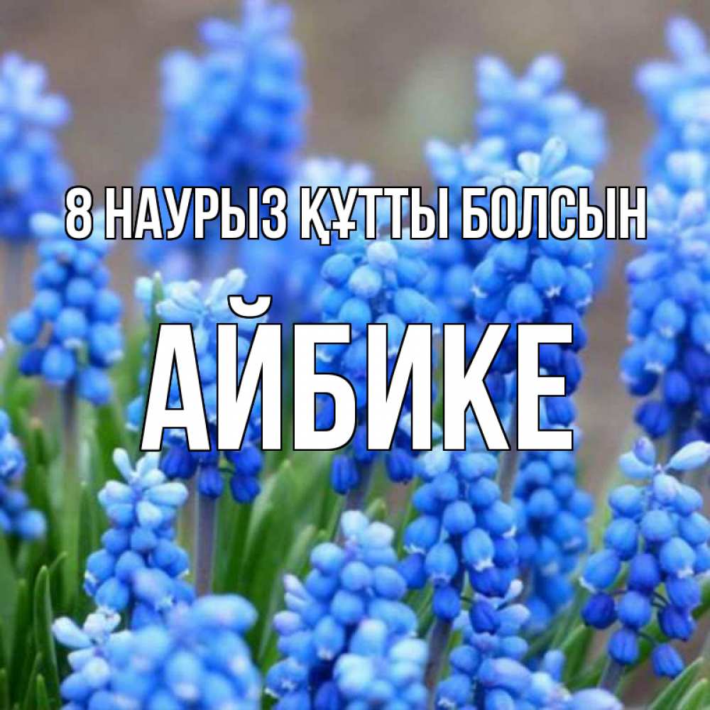 Күн сайын ашық хат с именем, АЙБИКЕ 8 наурыз құтты болсын Поздравительная открытка для женщин с цветами на праздничную дату Онлайн тегін жүктеп алу тілектері бар керемет карта 