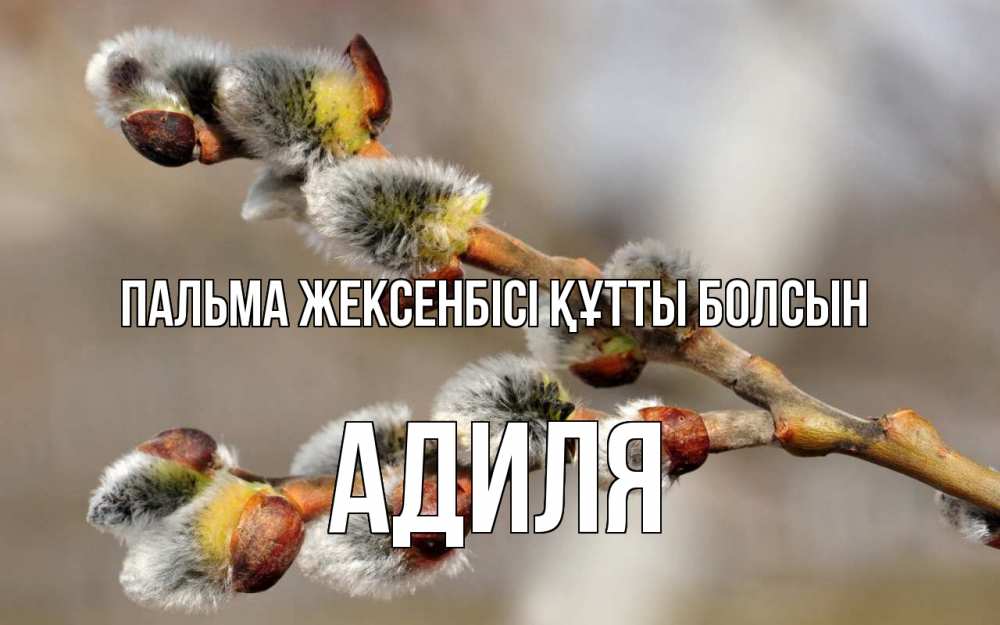 Күн сайын ашық хат с именем, Адиля Пальма жексенбісі құтты болсын Верба Онлайн тегін жүктеп алу тілектері бар керемет карта 