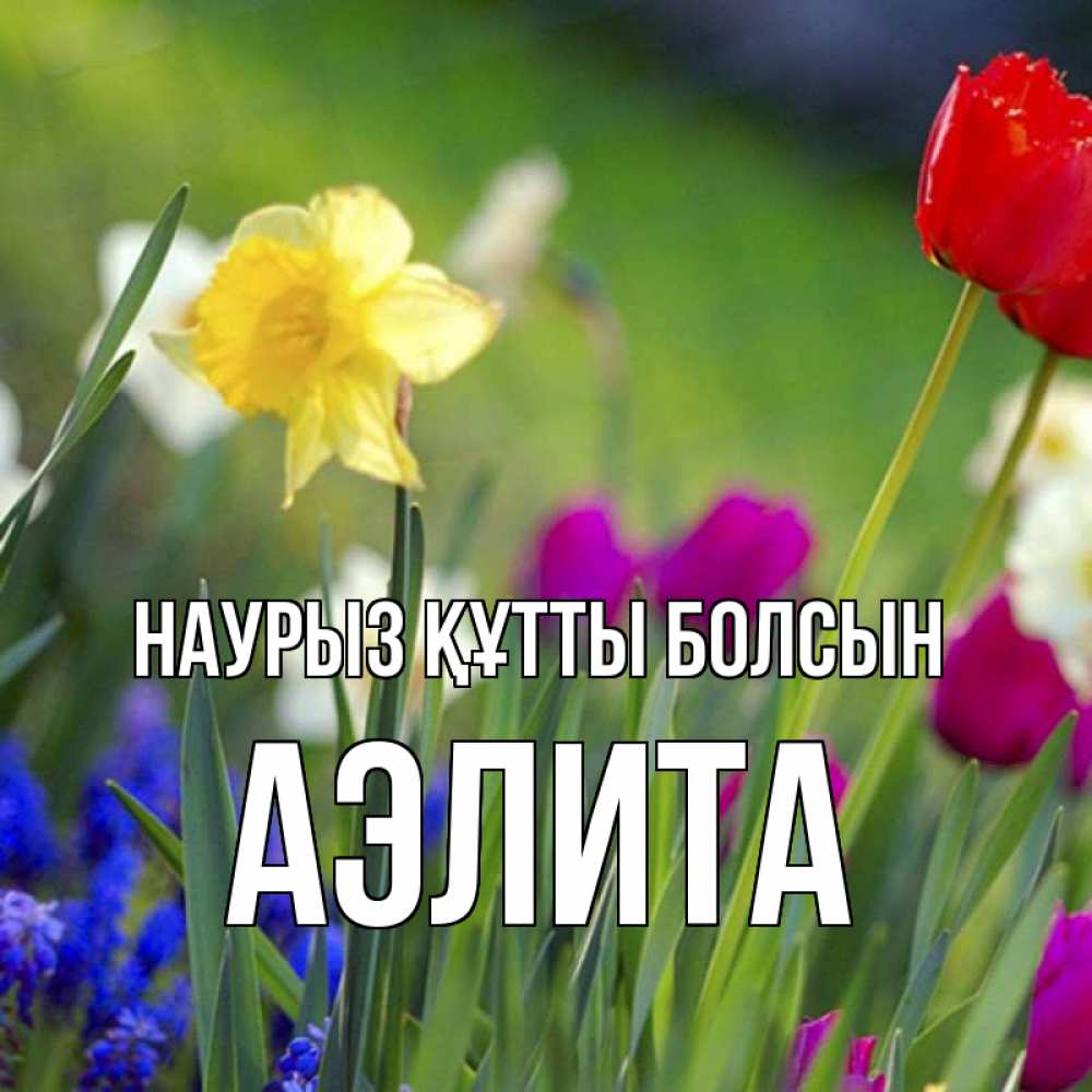 Күн сайын ашық хат с именем, Аэлита Наурыз құтты болсын наурыз  3 открытки Онлайн тегін жүктеп алу тілектері бар керемет карта 