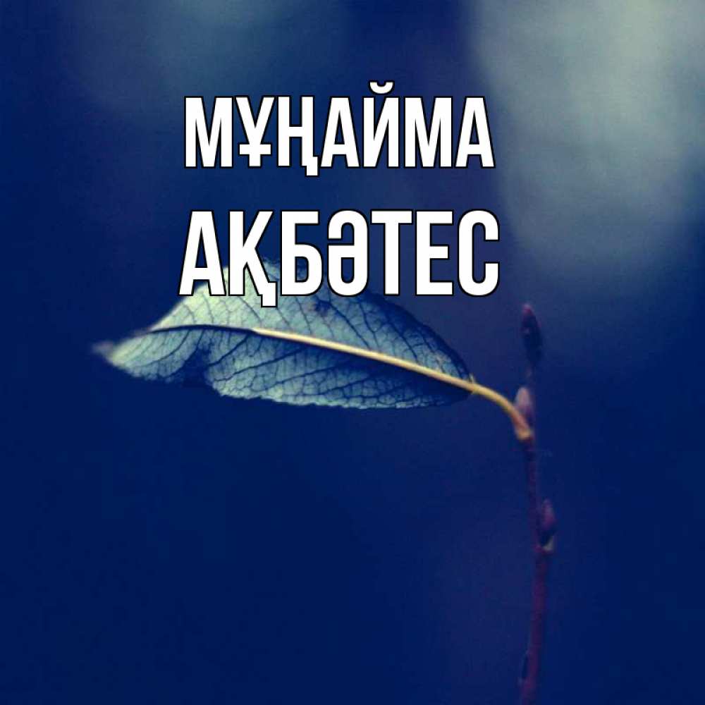 Күн сайын ашық хат с именем, АҚБӘТЕС Мұңайма растение Онлайн тегін жүктеп алу тілектері бар керемет карта 