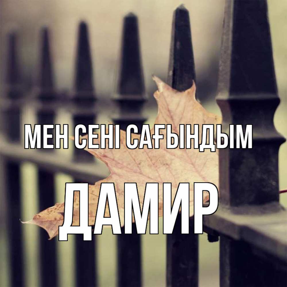 Күн сайын ашық хат с именем, Дамир Мен сені сағындым очень скучно Онлайн тегін жүктеп алу тілектері бар керемет карта 