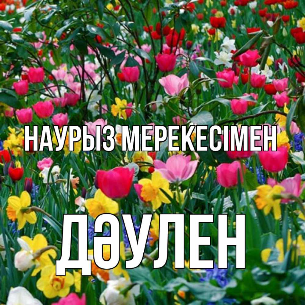 Күн сайын ашық хат с именем, Дәулен Наурыз мерекесімен с наурызом праздником весны поздравления для женщины Онлайн тегін жүктеп алу тілектері бар керемет карта 