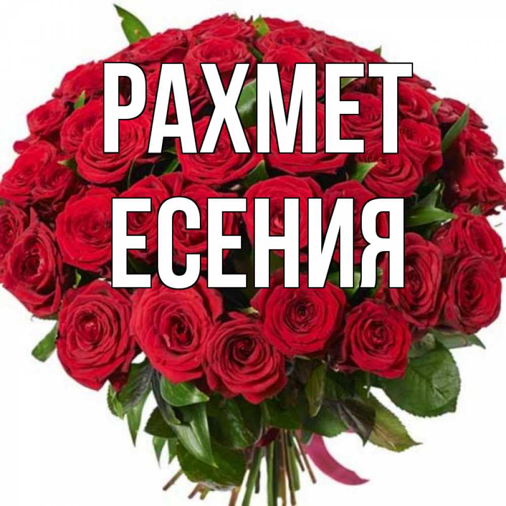Күн сайын ашық хат с именем, Есения рахмет букет красных роз Онлайн тегін жүктеп алу тілектері бар керемет карта 