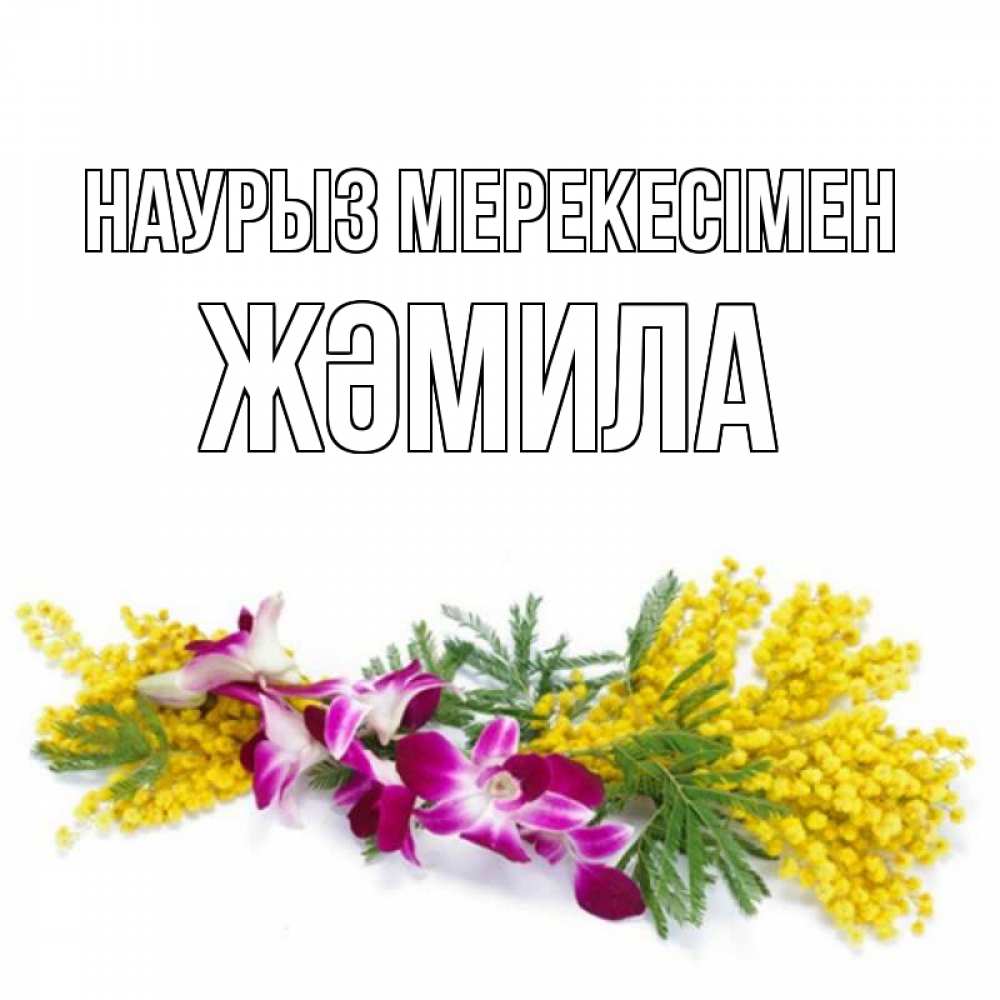 Күн сайын ашық хат с именем, ЖӘМИЛА Наурыз мерекесімен открытка на международный женский день с цветами  1 Онлайн тегін жүктеп алу тілектері бар керемет карта 