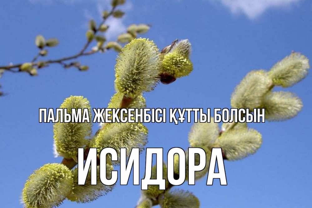 Күн сайын ашық хат с именем, Исидора Пальма жексенбісі құтты болсын верба Онлайн тегін жүктеп алу тілектері бар керемет карта 