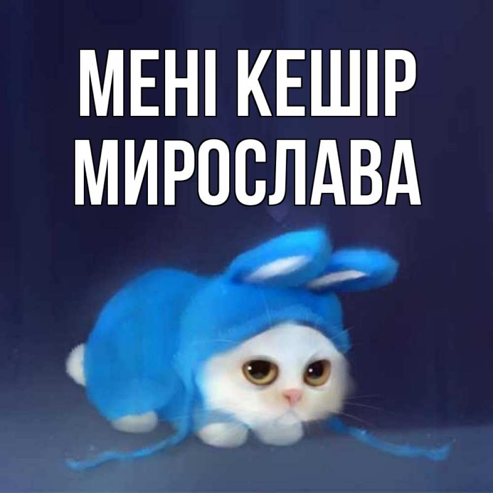 Күн сайын ашық хат с именем, Мирослава Мені кешір невинный котозай просит прощения Онлайн тегін жүктеп алу тілектері бар керемет карта 