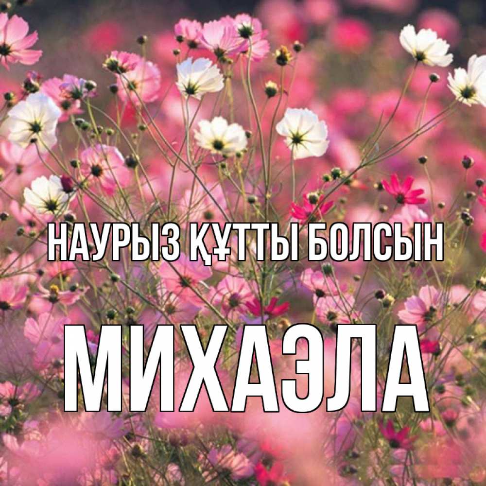 Күн сайын ашық хат с именем, Михаэла Наурыз құтты болсын красиво 1 Онлайн тегін жүктеп алу тілектері бар керемет карта 