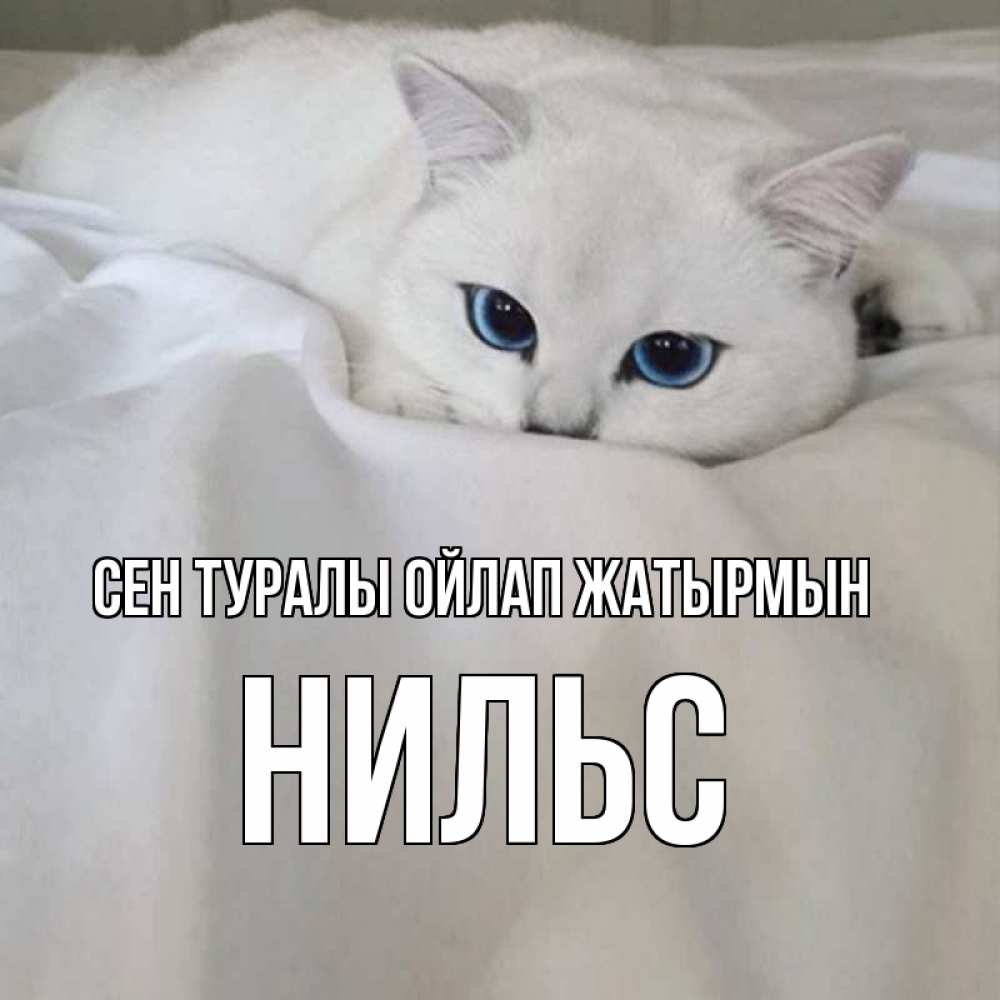 Күн сайын ашық хат с именем, Нильс Сен туралы ойлап жатырмын я очень по тебе скучаю и тоскую Онлайн тегін жүктеп алу тілектері бар керемет карта 