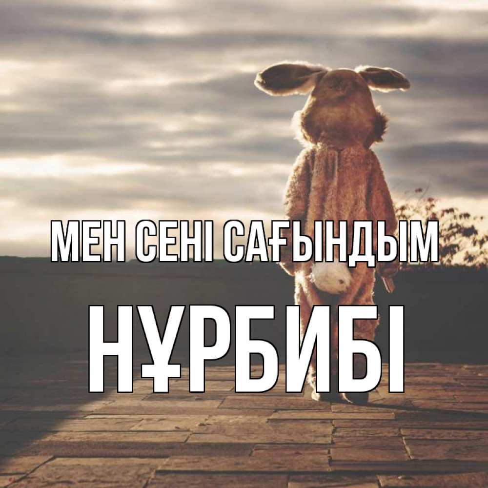 Күн сайын ашық хат с именем, НҰРБИБІ Мен сені сағындым даже в костюме зайца Онлайн тегін жүктеп алу тілектері бар керемет карта 