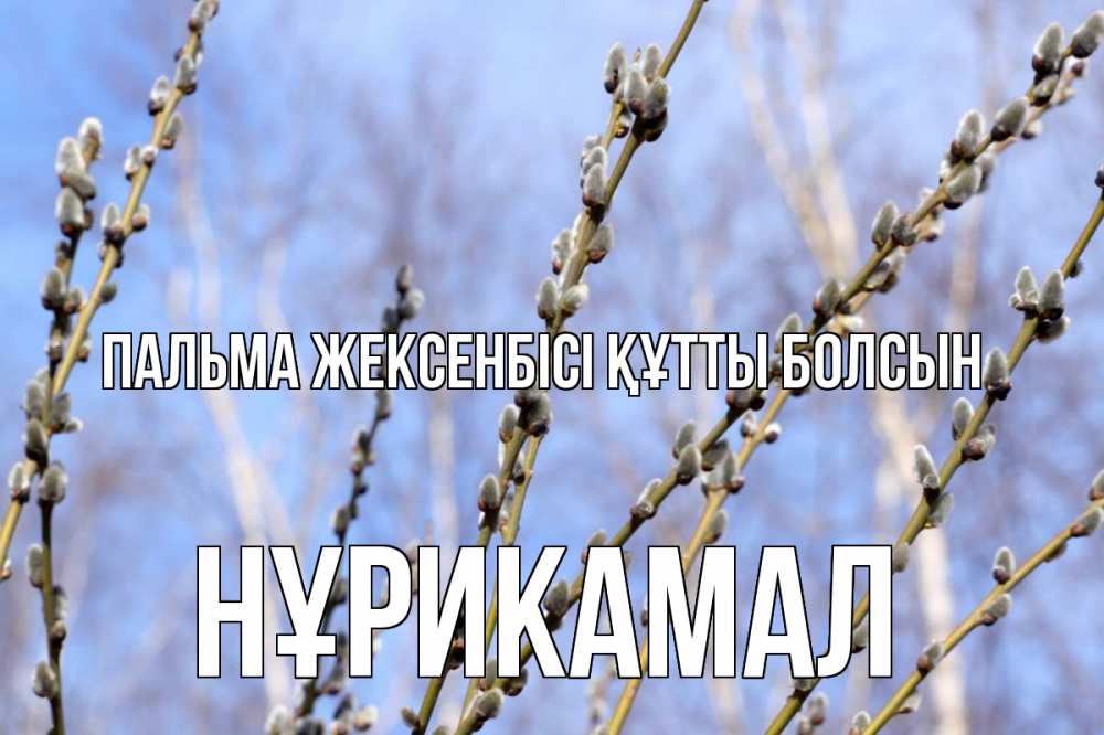 Күн сайын ашық хат с именем, НҰРИКАМАЛ Пальма жексенбісі құтты болсын верба Онлайн тегін жүктеп алу тілектері бар керемет карта 