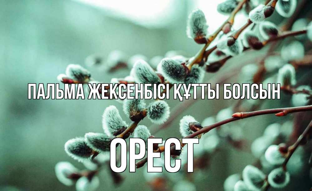Күн сайын ашық хат с именем, Орест Пальма жексенбісі құтты болсын верба Онлайн тегін жүктеп алу тілектері бар керемет карта 