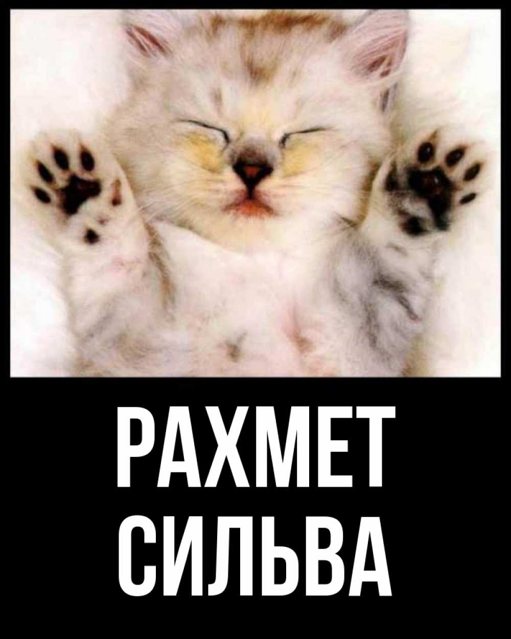 Күн сайын ашық хат с именем, Сильва рахмет маленький котенок Онлайн тегін жүктеп алу тілектері бар керемет карта 