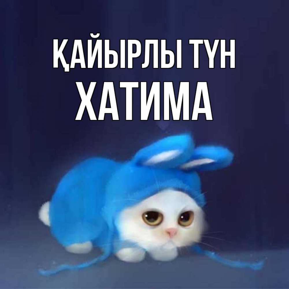 Күн сайын ашық хат с именем, ХАТИМА Қайырлы түн кот в голубом костюме кролика с ушками Онлайн тегін жүктеп алу тілектері бар керемет карта 