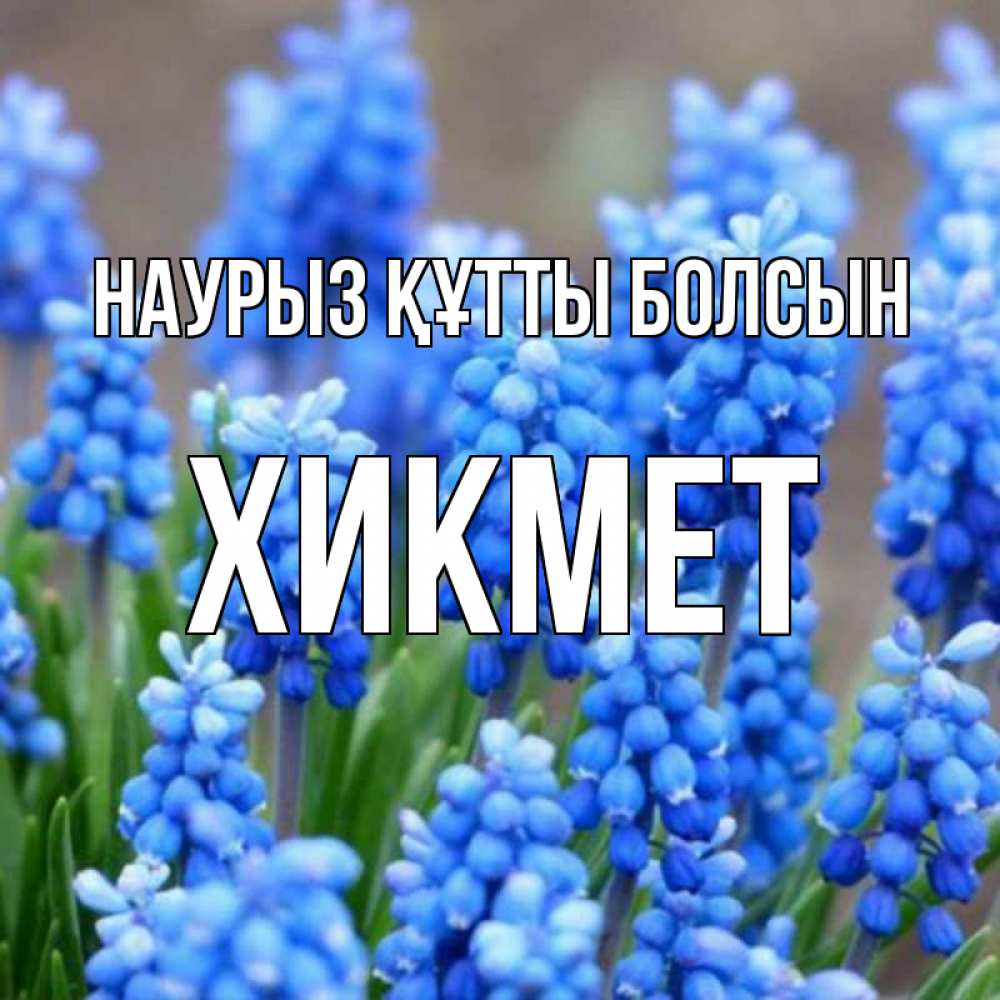 Күн сайын ашық хат с именем, ХИКМЕТ Наурыз құтты болсын Поздравительная открытка для женщин с цветами на праздничную дату Онлайн тегін жүктеп алу тілектері бар керемет карта 