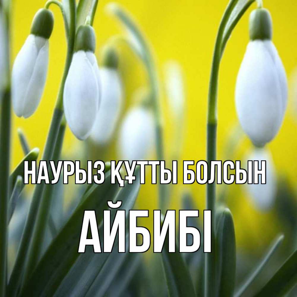Күн сайын ашық хат с именем, АЙБИБІ Наурыз құтты болсын весенние цветы Онлайн тегін жүктеп алу тілектері бар керемет карта 