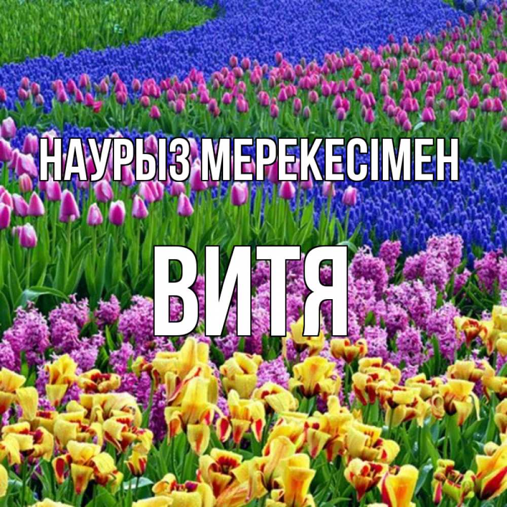 Күн сайын ашық хат с именем, Витя Наурыз мерекесімен цветы Онлайн тегін жүктеп алу тілектері бар керемет карта 