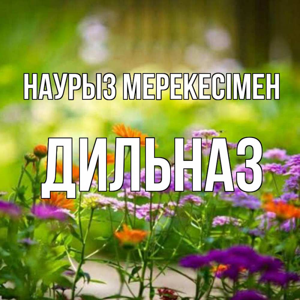 Күн сайын ашық хат с именем, ДИЛЬНАЗ Наурыз мерекесімен цветы Онлайн тегін жүктеп алу тілектері бар керемет карта 