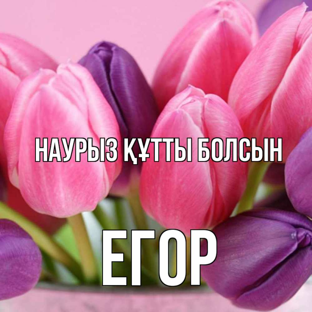Күн сайын ашық хат с именем, Егор Наурыз құтты болсын маме 1 Онлайн тегін жүктеп алу тілектері бар керемет карта 