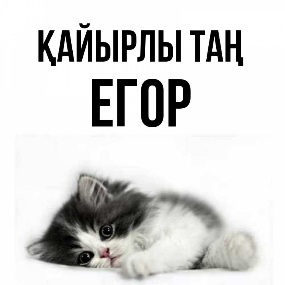 Күн сайын ашық хат с именем, Егор Қайырлы таң кот лапки Онлайн тегін жүктеп алу тілектері бар керемет карта 