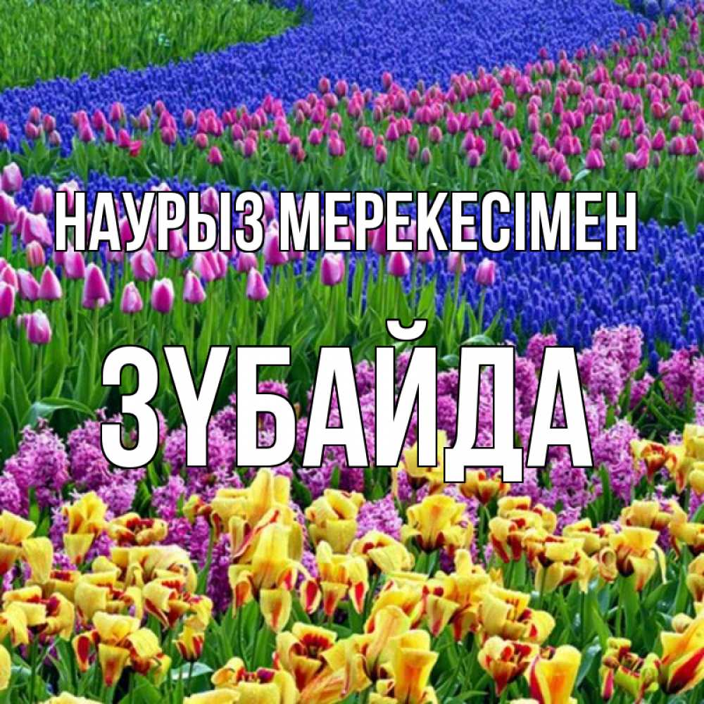 Күн сайын ашық хат с именем, ЗҮБАЙДА Наурыз мерекесімен цветы Онлайн тегін жүктеп алу тілектері бар керемет карта 