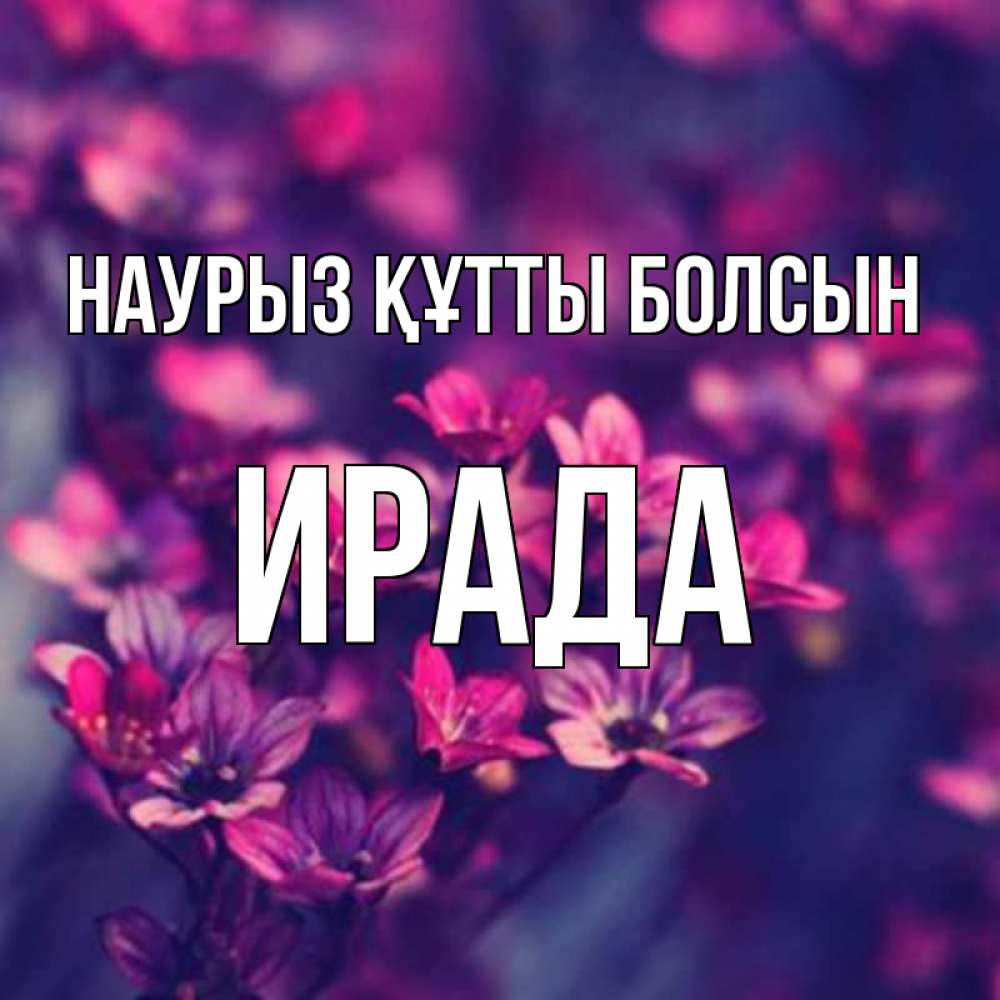 Күн сайын ашық хат с именем, ИРАДА Наурыз құтты болсын небольшие цветы 1 Онлайн тегін жүктеп алу тілектері бар керемет карта 