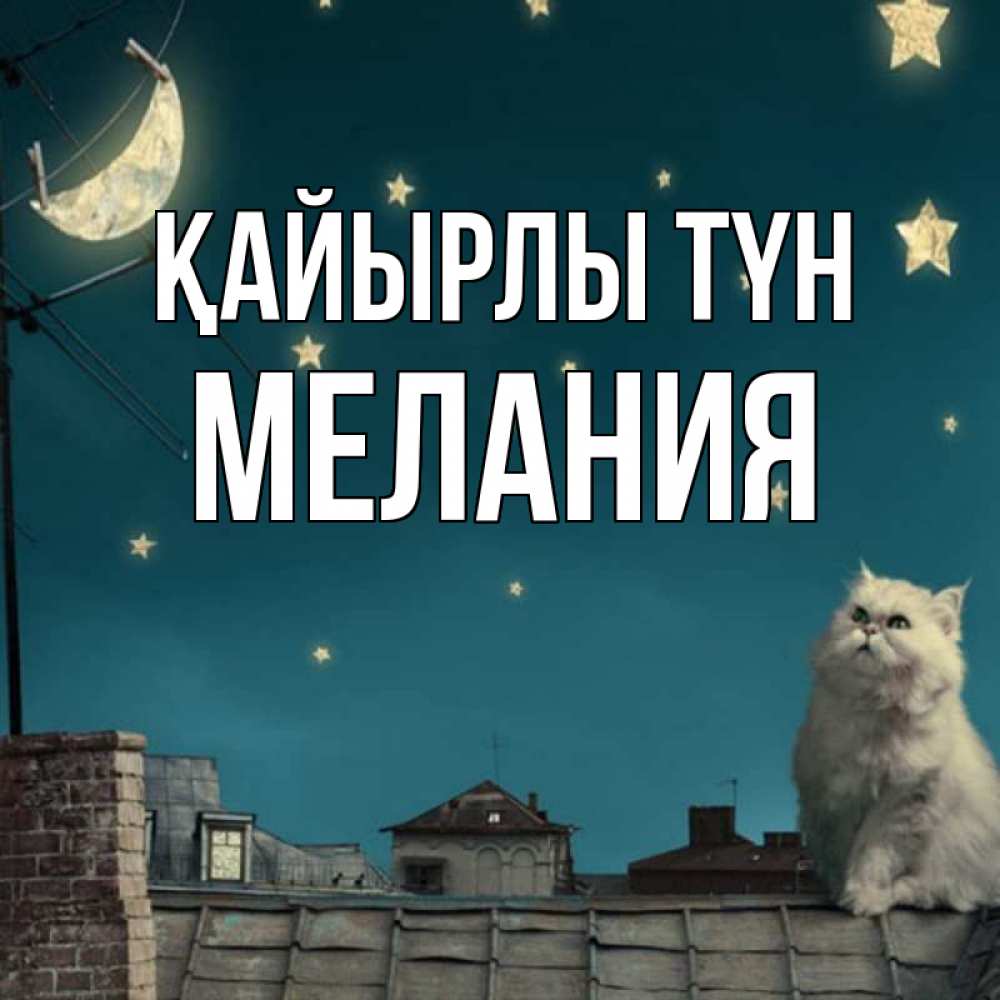 Күн сайын ашық хат с именем, Мелания Қайырлы түн белый кот сидит на крыше Онлайн тегін жүктеп алу тілектері бар керемет карта 