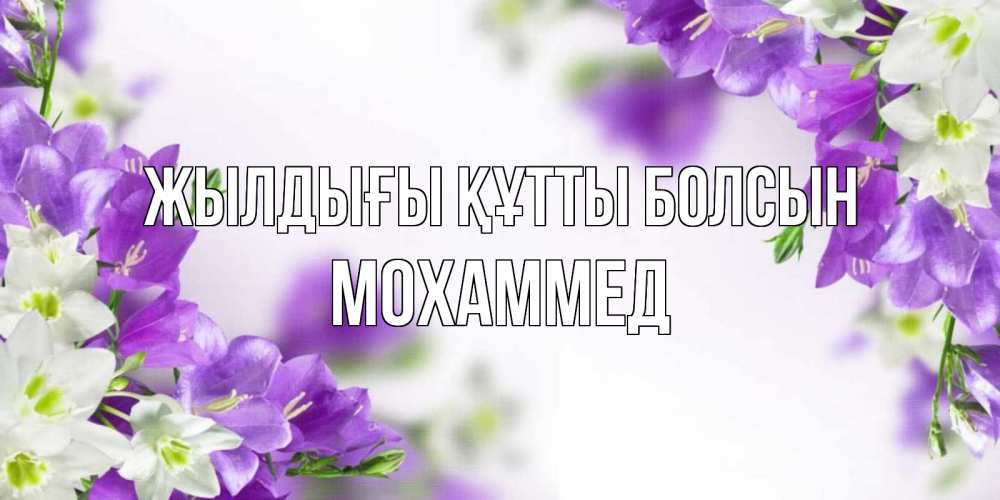 Күн сайын ашық хат с именем, Мохаммед Жылдығы құтты болсын открытка на день рождения с сиреневыми цветами Онлайн тегін жүктеп алу тілектері бар керемет карта 
