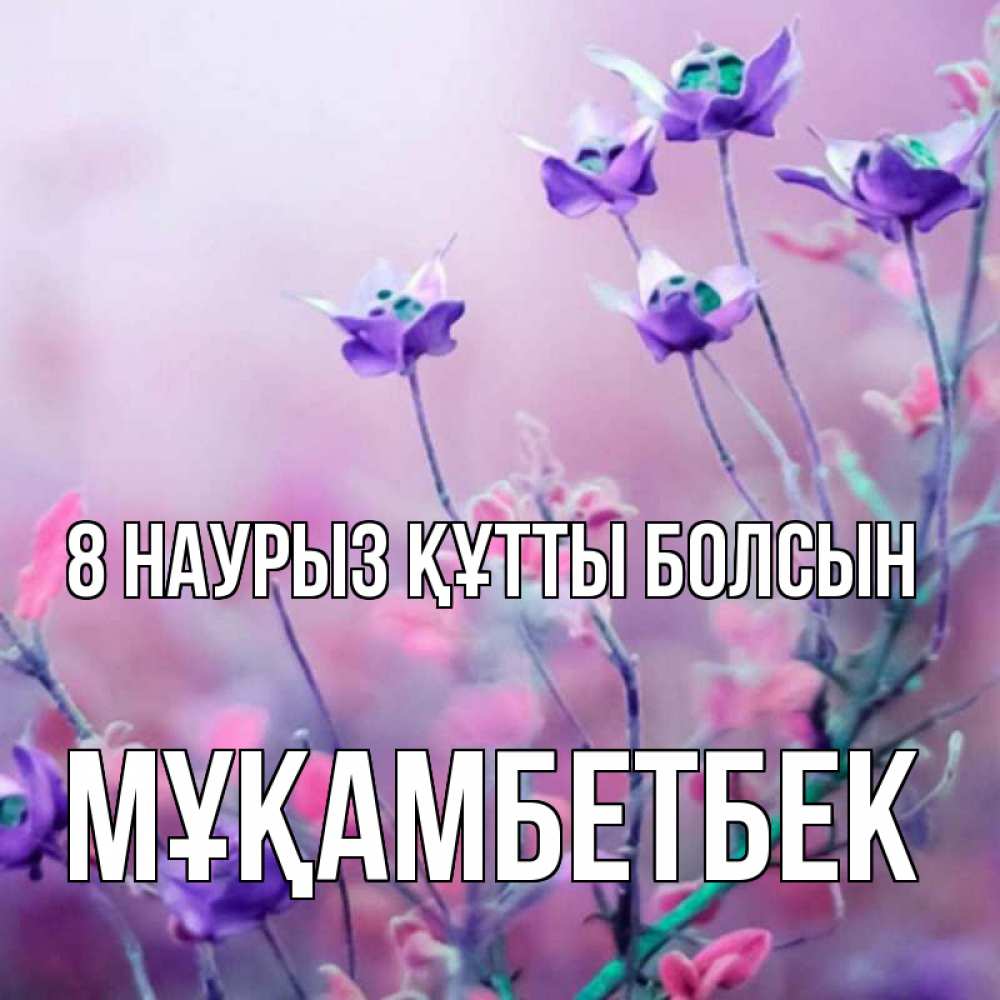 Күн сайын ашық хат с именем, Мұқамбетбек 8 наурыз құтты болсын международный женский день 2 Онлайн тегін жүктеп алу тілектері бар керемет карта 