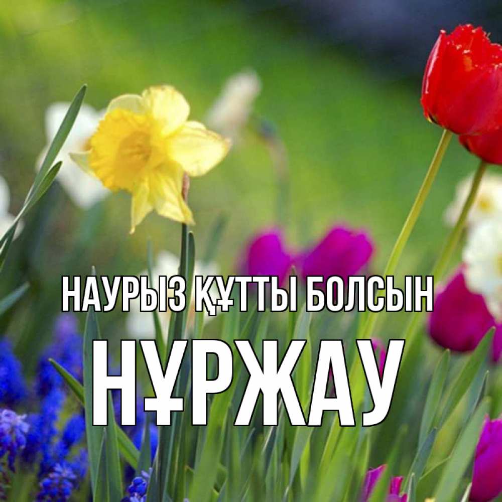 Күн сайын ашық хат с именем, НҰРЖАУ Наурыз құтты болсын наурыз  3 открытки Онлайн тегін жүктеп алу тілектері бар керемет карта 