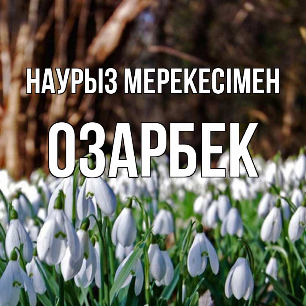 Күн сайын ашық хат с именем, ОЗАРБЕК Наурыз мерекесімен с подснежниками 1 Онлайн тегін жүктеп алу тілектері бар керемет карта 