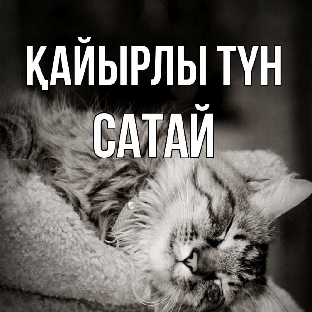 Күн сайын ашық хат с именем, САТАЙ Қайырлы түн котярик пушистый Онлайн тегін жүктеп алу тілектері бар керемет карта 