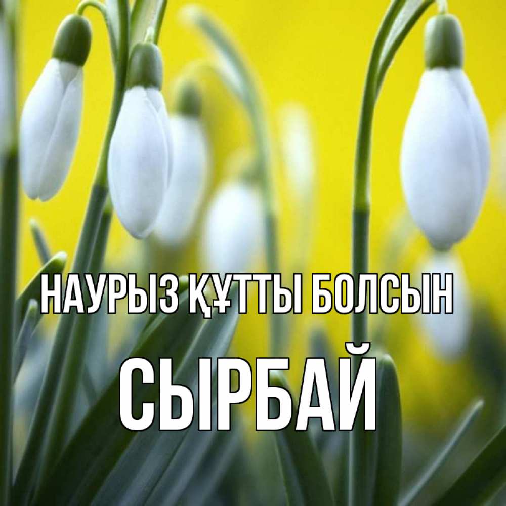 Күн сайын ашық хат с именем, СЫРБАЙ Наурыз құтты болсын весенние цветы Онлайн тегін жүктеп алу тілектері бар керемет карта 