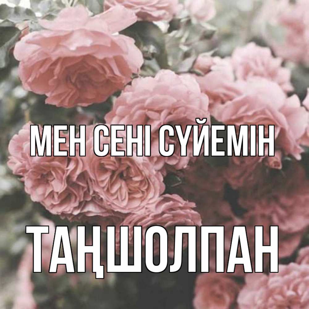 Күн сайын ашық хат с именем, ТАҢШОЛПАН Мен сені сүйемін розы 3 Онлайн тегін жүктеп алу тілектері бар керемет карта 