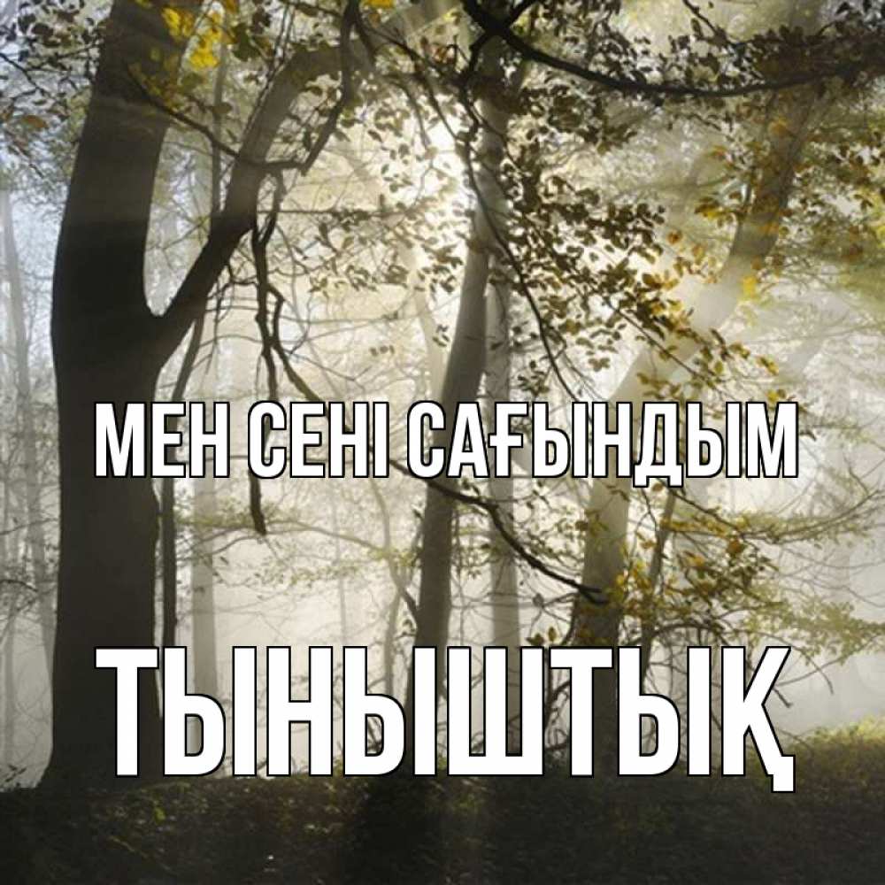 Күн сайын ашық хат с именем, ТЫНЫШТЫҚ Мен сені сағындым грустно Онлайн тегін жүктеп алу тілектері бар керемет карта 