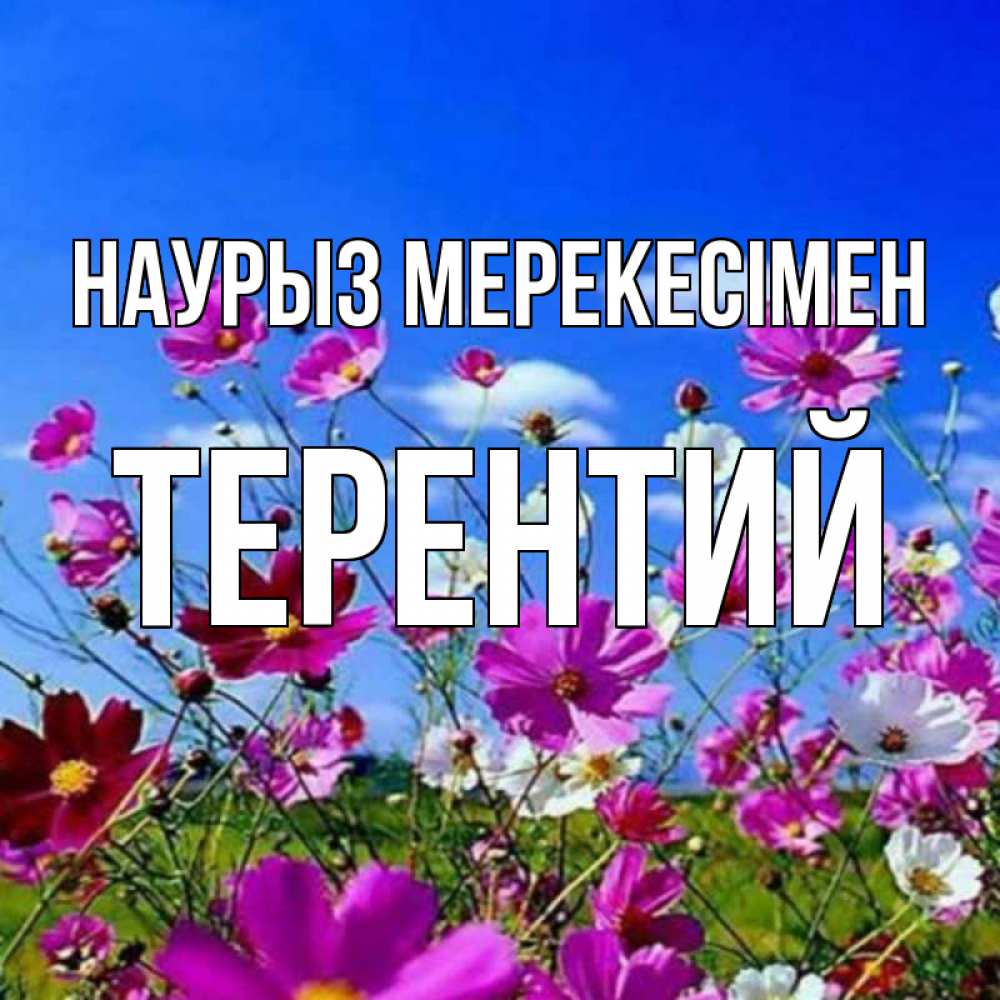 Күн сайын ашық хат с именем, Терентий Наурыз мерекесімен цветы Онлайн тегін жүктеп алу тілектері бар керемет карта 
