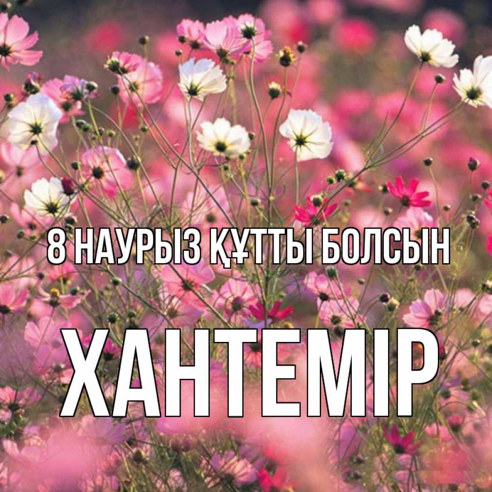 Күн сайын ашық хат с именем, ХАНТЕМІР 8 наурыз құтты болсын красиво 1 Онлайн тегін жүктеп алу тілектері бар керемет карта 