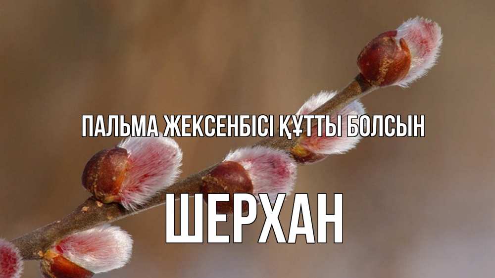 Күн сайын ашық хат с именем, ШЕРХАН Пальма жексенбісі құтты болсын верба Онлайн тегін жүктеп алу тілектері бар керемет карта 