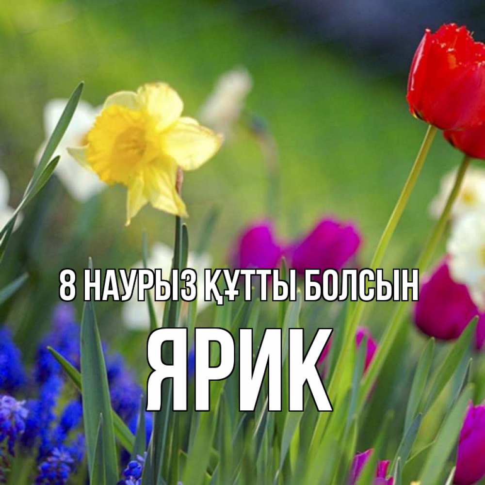 Күн сайын ашық хат с именем, Ярик 8 наурыз құтты болсын международный женский день 3 Онлайн тегін жүктеп алу тілектері бар керемет карта 