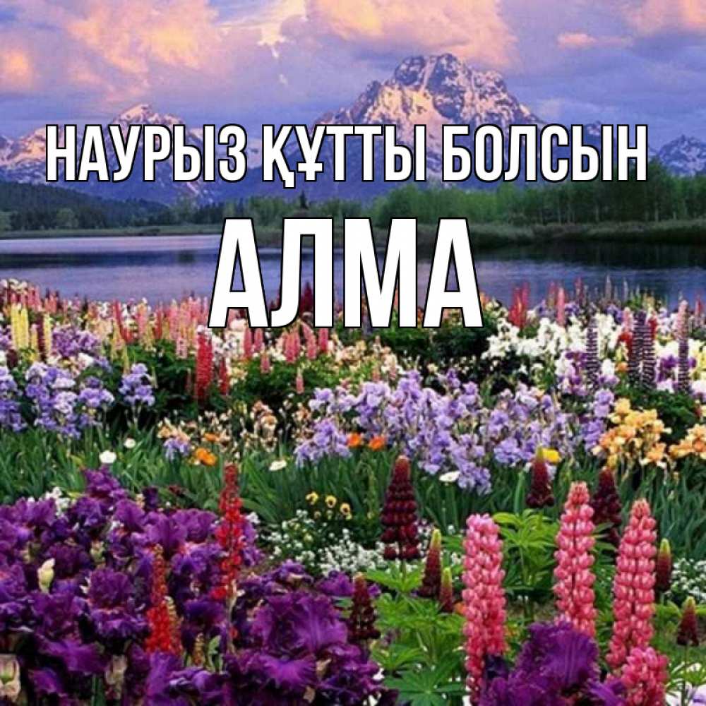 Күн сайын ашық хат с именем, АЛМА Наурыз құтты болсын наурыз Онлайн тегін жүктеп алу тілектері бар керемет карта 