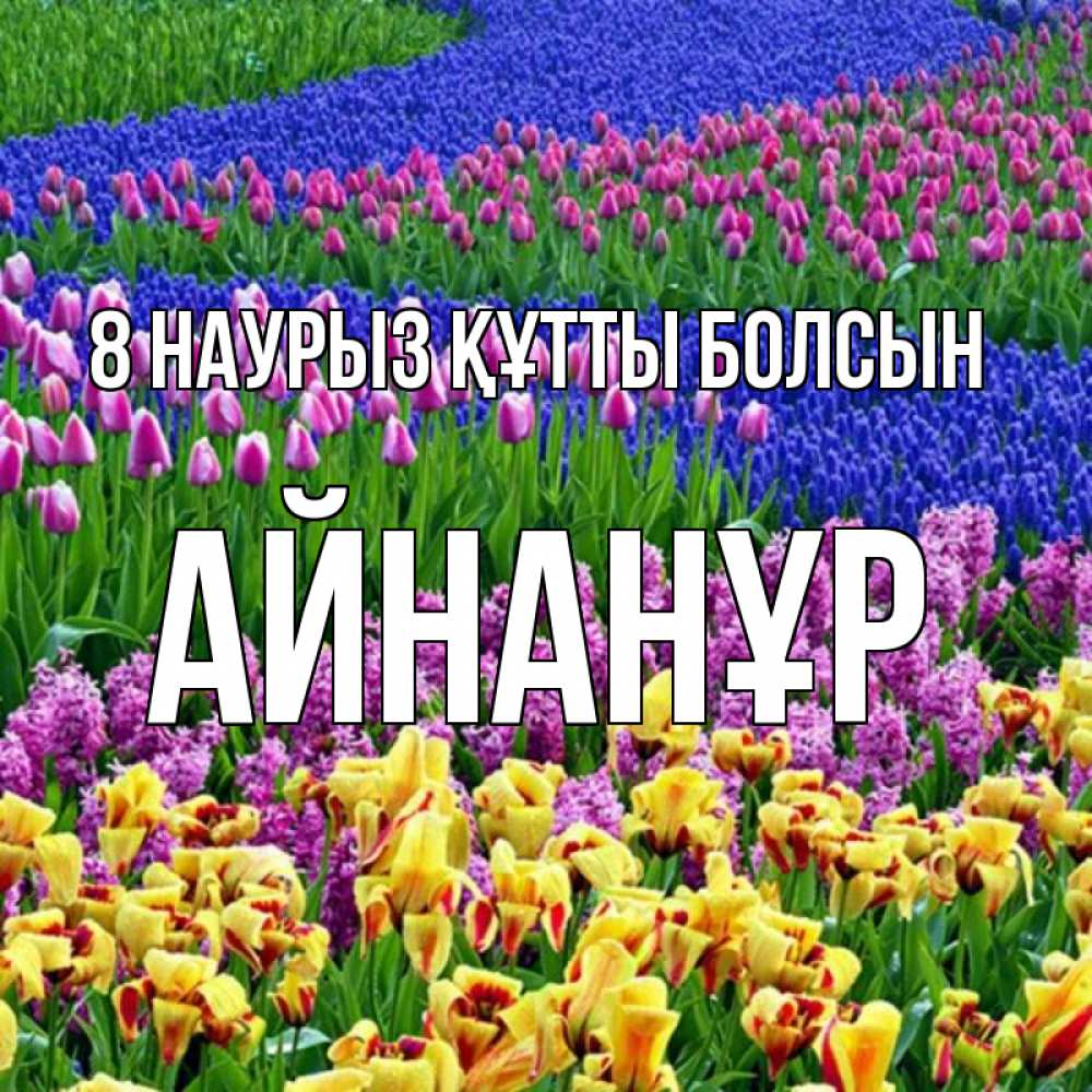 Күн сайын ашық хат с именем, Айнанұр 8 наурыз құтты болсын цветы Онлайн тегін жүктеп алу тілектері бар керемет карта 