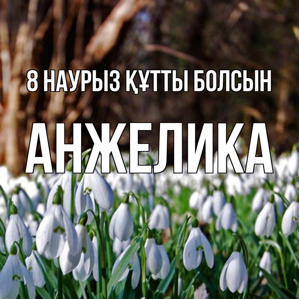 Күн сайын ашық хат с именем, Анжелика 8 наурыз құтты болсын с подснежниками 1 Онлайн тегін жүктеп алу тілектері бар керемет карта 