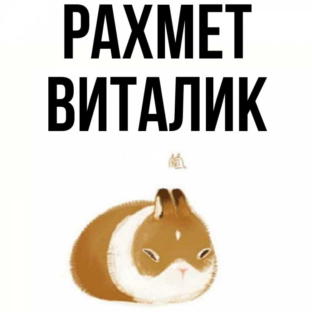 Күн сайын ашық хат с именем, Виталик рахмет коричнево белый домашний питомец Онлайн тегін жүктеп алу тілектері бар керемет карта 