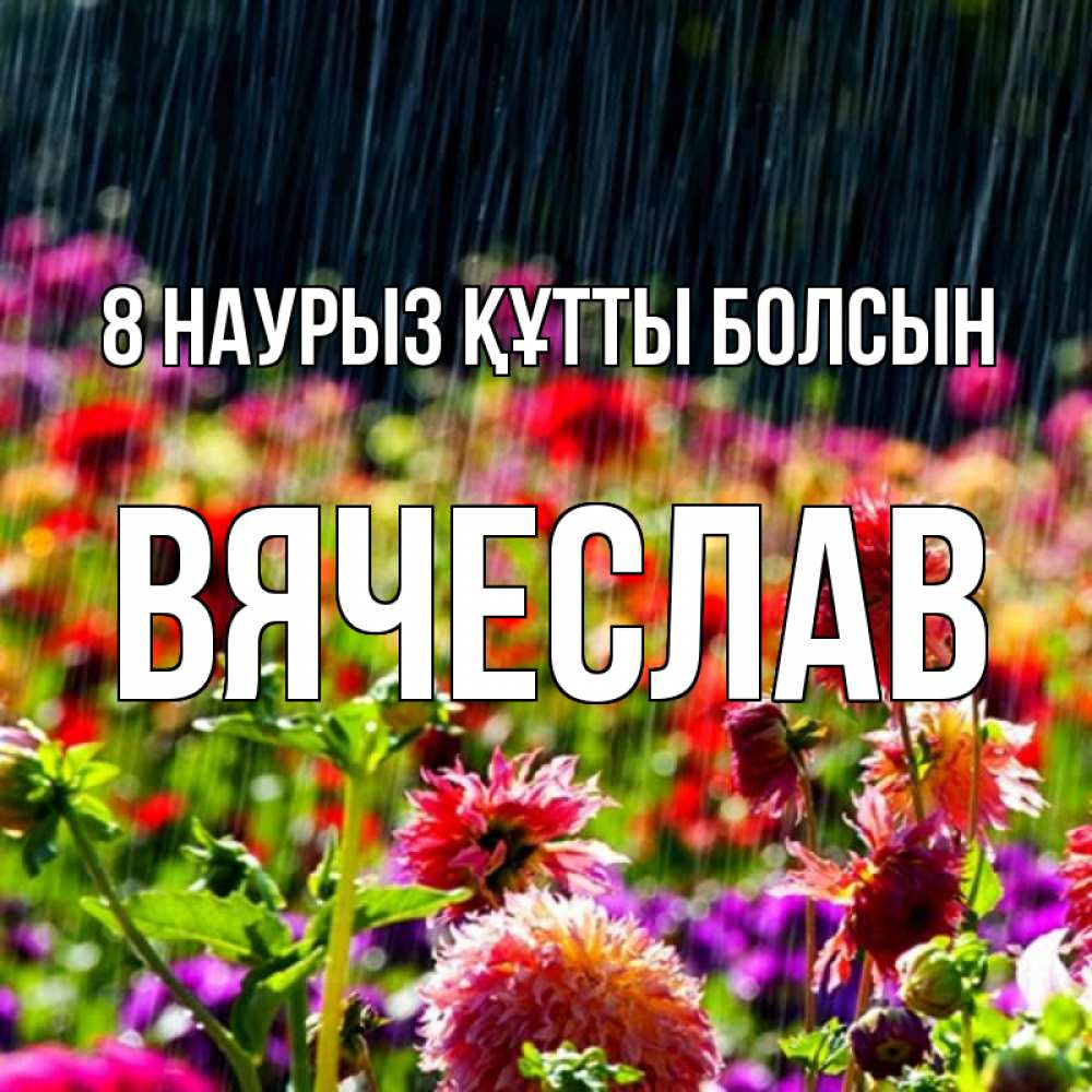 Күн сайын ашық хат с именем, Вячеслав 8 наурыз құтты болсын цветы под дождиком к международному женскому дню Онлайн тегін жүктеп алу тілектері бар керемет карта 