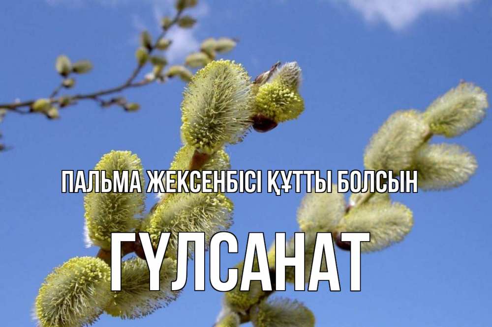 Күн сайын ашық хат с именем, ГҮЛСАНАТ Пальма жексенбісі құтты болсын верба Онлайн тегін жүктеп алу тілектері бар керемет карта 