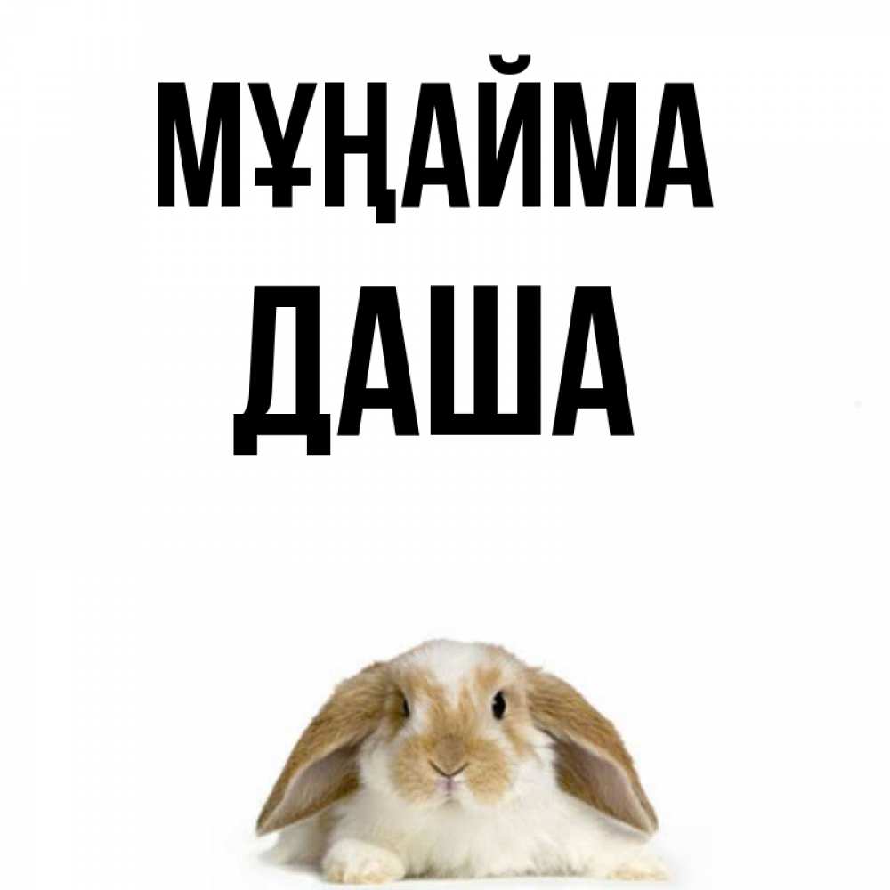 Күн сайын ашық хат с именем, Даша Мұңайма коричнево белый заяц с большими ушками Онлайн тегін жүктеп алу тілектері бар керемет карта 