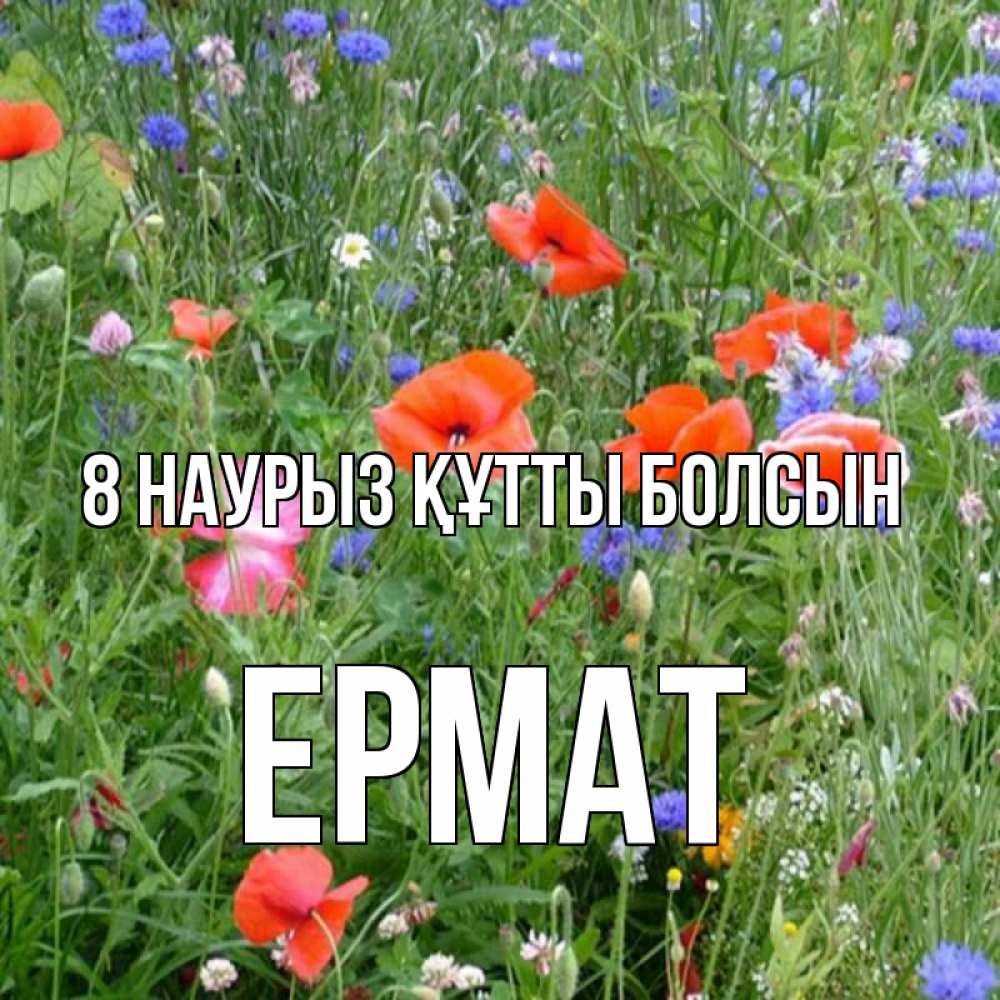 Күн сайын ашық хат с именем, Ермат 8 наурыз құтты болсын международный женский день 4 Онлайн тегін жүктеп алу тілектері бар керемет карта 