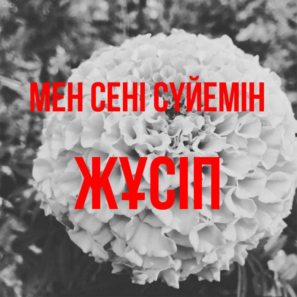 Күн сайын ашық хат с именем, Жұсіп Мен сені сүйемін подпись Онлайн тегін жүктеп алу тілектері бар керемет карта 
